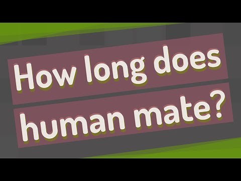 How long does human mate?