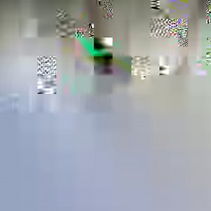 41 reactions · 11 comments | The skies above Vikhroli Mangroves are...