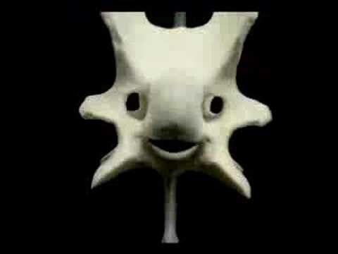 Audi A4 "Faces" Commercial