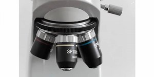 Microscope Objective: The Eyes of the Microscope | Microscope Clarity