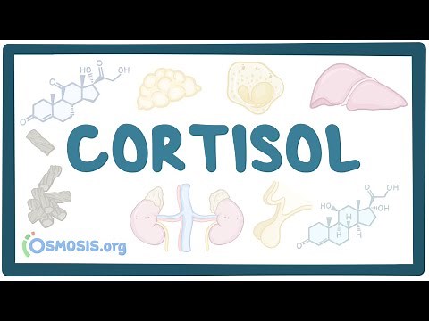 Cortisol