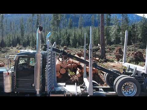 2021 Peterbilt 389 Mule Train Log Truck Hauling Logs