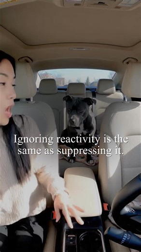 2K views · 12 reactions | Start training your dog with the Best Dog Training App in the World!  | Dog Training & Tips | Facebook