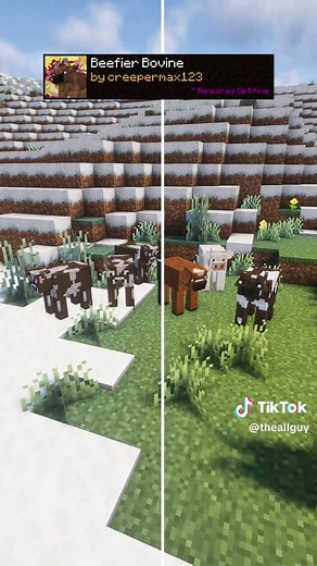 Minecraft Realistic Texture Packs Showcase