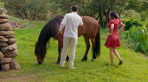 Santiago está emocionado por su boda con Fernanda pero el destino les hace una mala jugada y ese sueño se acaba muy pronto. 😱 #LaDesalmada | tlnovelas