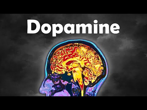 How Dopamine ACTUALLY Works