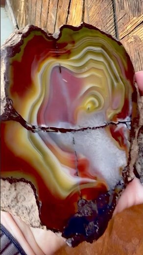 Rare Australian Agate: Nature’s Fiery Masterpiece Unearthed!