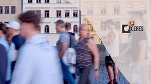 Safety and security for fieldwork / in-situ research