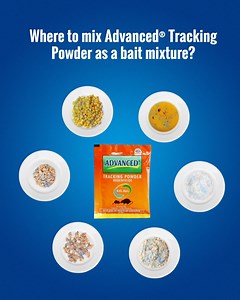 50 reactions | Rats have favorites, too! Use Advanced® Tracking Powder as bait mixture and mix it with any of their favorites; they will ingest it and before they know it, they’re eliminated from your home. Lazada: https://tinyurl.com/t7smtnwk Shopee: https://tinyurl.com/2mp45jpr #GetTheAdvancedProtection #Advanced #TrackingPowder | Advanced Aerosol | Facebook