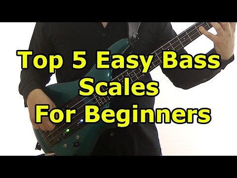 Top 5 Easy Bass Scales For Beginners
