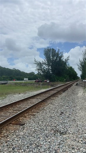Now Approaching Is The AMtrak Floridian