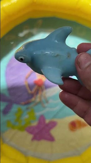 Explore Ocean Animal Names and Fun Facts | Sea Animal Toys | Educational Learning Videos for Toddler