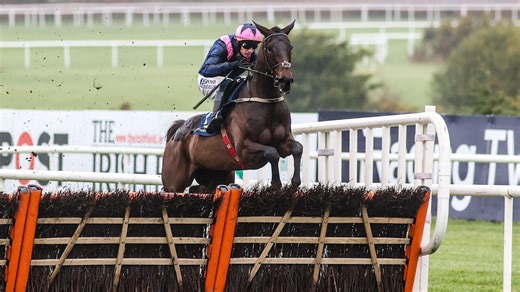 Cheltenham Festival free bets tips ahead of Michael O'Sullivan Supreme Novices' Hurdle