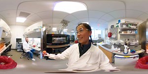 Innovation and collaboration go hand in hand for our Immuno-Oncology researchers, as they seek to build smart drug combinations. | Novartis