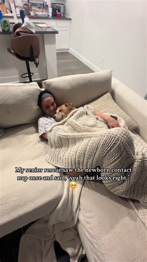 Apparently contact naps are contagious 😅 #rescuedog #dogsoftiktok #adoptdontshop #dog #momsoftiktok