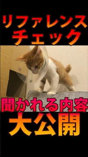 リファレンスチェックで聞かれる内容大公開！#shorts #転職