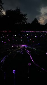 13 reactions | Allison Miller on Reels | Facebook