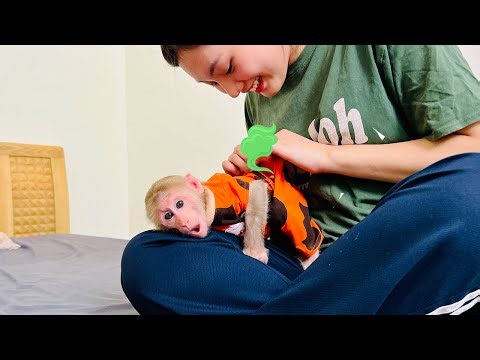 Bibi's poop after 3 days of constipation made Mom very happy