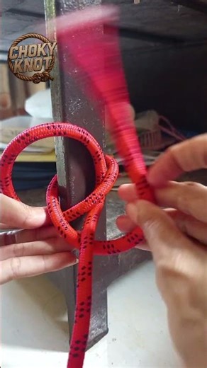 Easy way to tie a rope to a tree #knot #rope #activity #adventure #diy #tutorial #outdoors