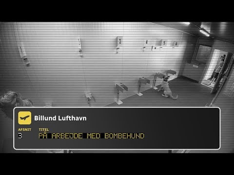 Billund Airport (3:8) | På arbejde med bombehund