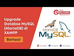 Upgrade Versi Database MySQL MariaDB Tanpa Install Ulang Xampp