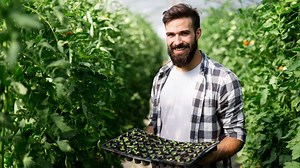 The Pros And Cons Of Using Oasis Cube In Hydroponics