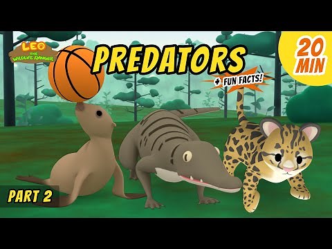 Predators (Part 2/3) - Fun, Exciting & Educative Animals Stories for Kids | Leo the Wildlife Ranger