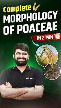 A to Z information about Poaceae Family 😎 | IARI Wala