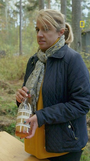 11K views · 64 reactions | The Molotov cocktail is named after...