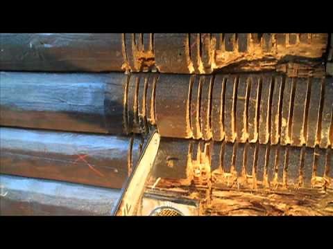 Log Home Restoration - Log Replacement