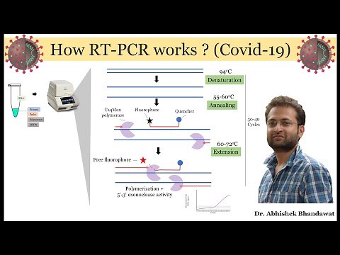 All about real-time PCR (qRT-PCR). How it works? Made Easy.