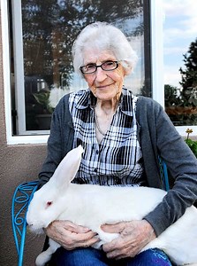 The Largest Rabbit Breed - Plus the world record largest bunny