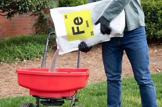 How to Add Iron to Your Lawn
