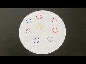 【光と色】色が分かれる！？[クロマトグラフィー]