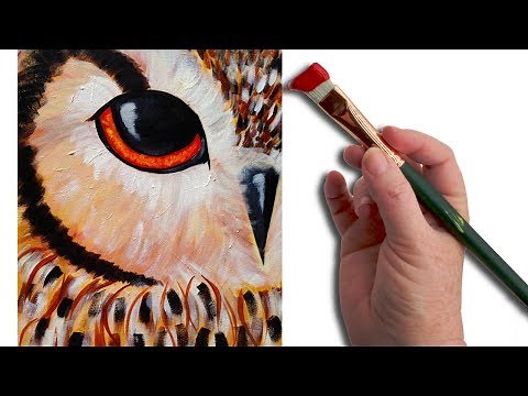 Simple Owl EYE Beginner Acrylic Painting Lesson The Art Sherpa | TheArtSherpa
