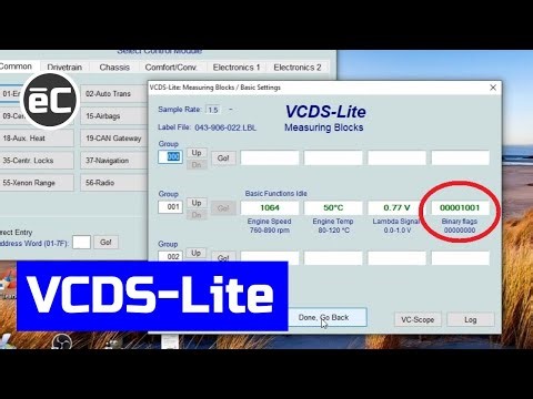 Vocho Fuel Injection Todos los Bloques de Medición VCDS-Lite