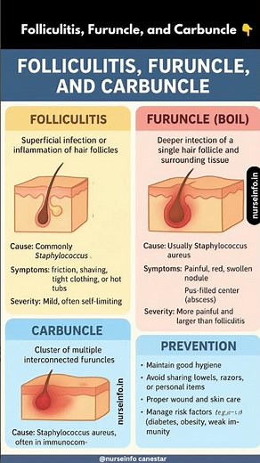 Folliculitis, Furuncle, and Carbuncle 👇