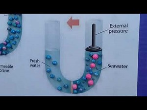 B Ed Project | Osmosis and Reverse osmosis Model