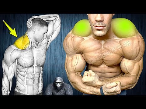 How to Build Bigger Traps Fast – Complete Workout Guide