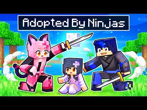 Adopted By NINJAS In Minecraft!