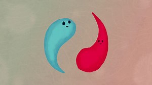 Emotional Intelligence Training | CPD Accredited | iHasco