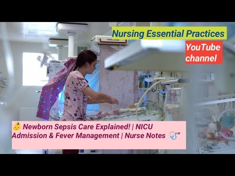 👶 Newborn Baby Sepsis Care Explained | NICU Admission & Fever Management | Nursing Lecture 🩺