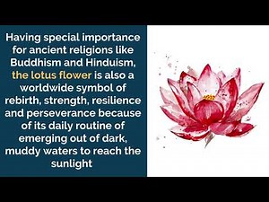 Ancient Symbols And Their Meanings