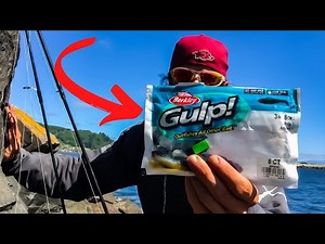 Jetty Fishing With Berkley Gulp Saltwater 3" POGY Baits | SIMPLE Jetty Setup That WORKS!