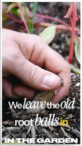 No-Till = No Stress. #growtips #howto