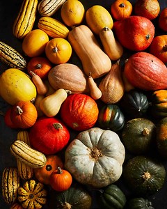 9 Types of Squash and How to Cook With Each