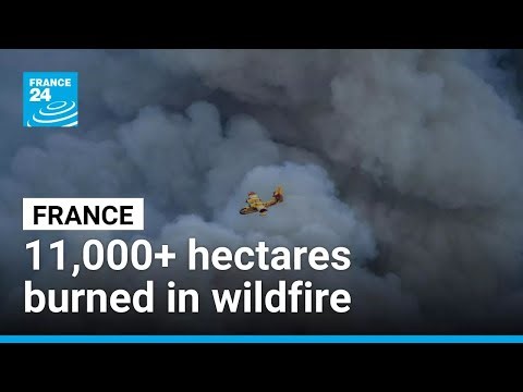 Over 11,000 hectares engulfed in southern France wildfire • FRANCE 24 English