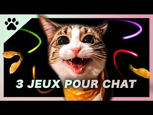 3 jeux pour divertir votre chat en vidéo, un mix de jeux pour chat dont des lasers