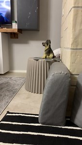 104K views · 4.9K reactions | Chan Chan on Reels | Facebook