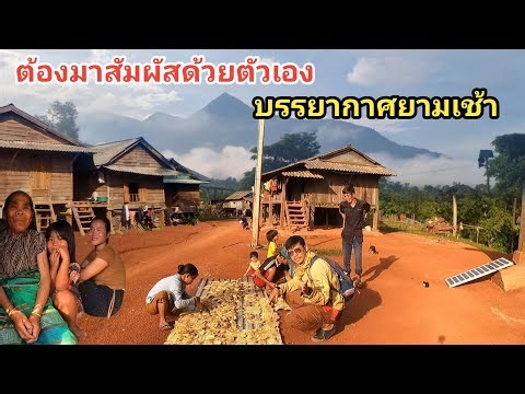 เศรษฐีบ้านไม้หลังใหญ่ที่ตีมูลค่าไม่ได้กับบรรยากาศยามเช้าชายแดนลาวเวียดนาม